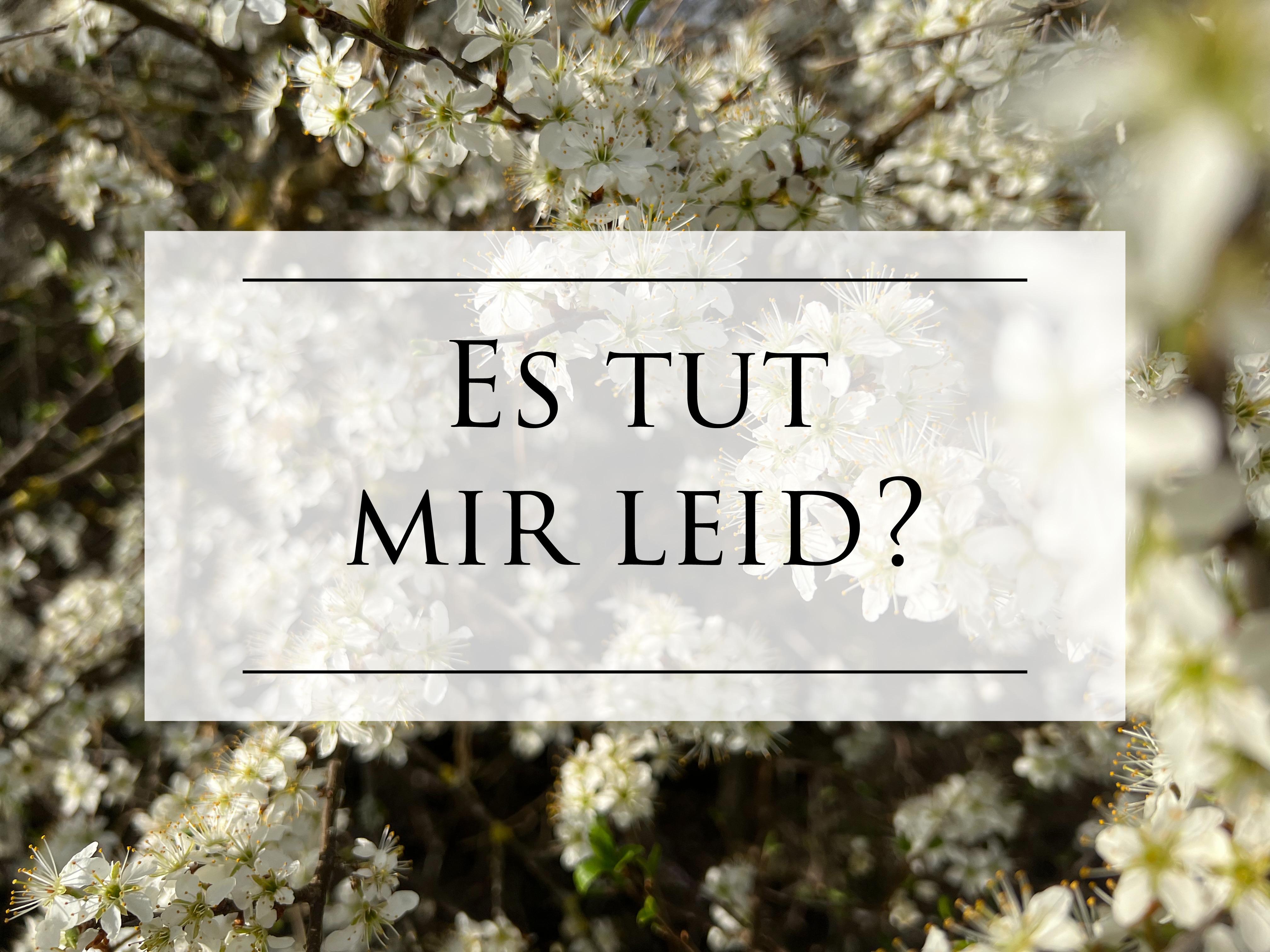 EFB5EB0B-2737-46FF-AB3D-BFC706926F95