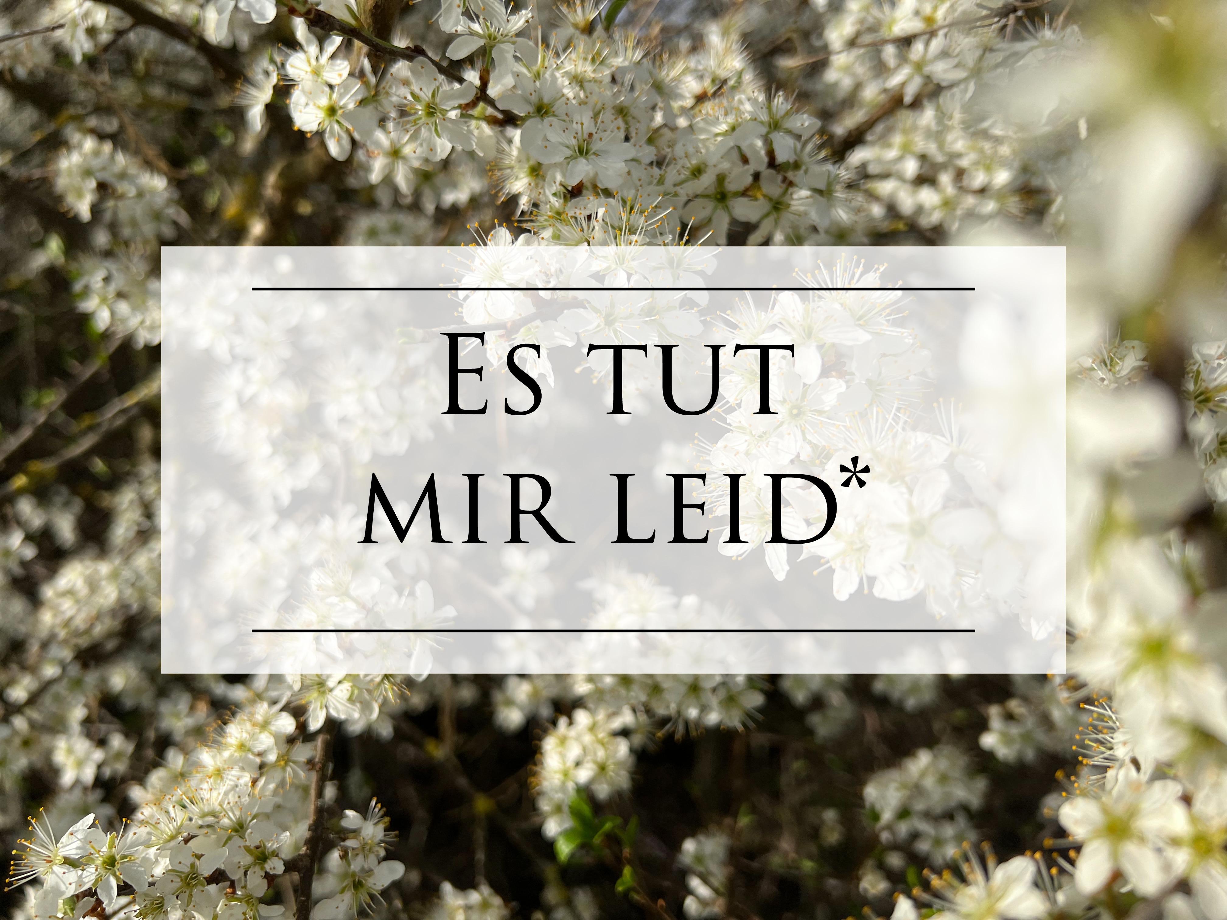 FFC78FDF-3CF4-4400-BFBE-B7B4867BE64B FFC78FDF-3CF4-4400-BFBE-B7B4867BE64B