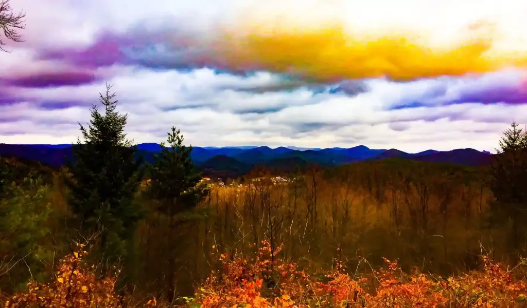 Kagehub_Image_Forest_Trippy_Mood